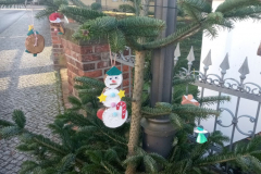 IMG_20221127_132327_629